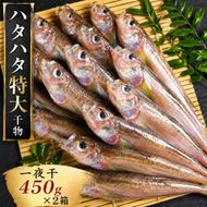 ハタハタ（特大）干物 一夜干し 450g ×2箱 魚貝類 海鮮 干物 おつまみ 肴 ハタハタ 酒 myz02 myz11 myz17