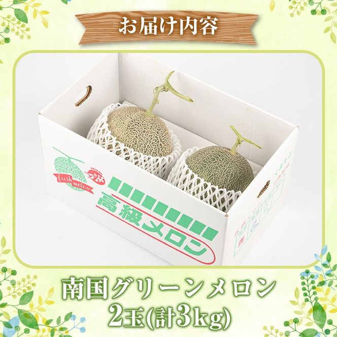 ＜先行予約受付中！2026年6月下旬以降順次発送予定＞数量限定！鹿児島県産南国グリーンメロン(2玉・計3kg) 数量限定 メロン フルーツ 青肉 果物 くだもの 果実 国産 九州産 鹿児島県産【松永青果】akn053-03