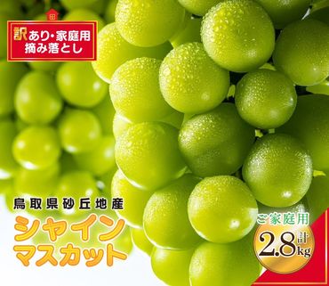 シャインマスカット 訳あり 家庭用 鳥取砂丘地産 2.8kg（350g×8パック） ※離島への配送不可 ※2024年8月下旬～10月下旬頃に順次発送予定