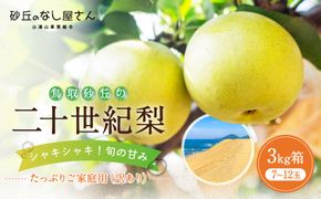 二十世紀梨 訳あり 3キロ（砂丘のなし屋さん） 312011_CF003