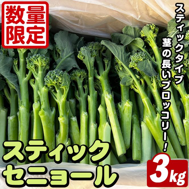 ＜先行予約受付中！2026年5月以降順次発送予定＞ スティックセニョール (3kg) 国産 鹿児島県産 阿久根市産 ブロッコリー 野菜 サラダ お弁当 ピクニック 産地直送 茎ブロッコリー 肉巻き 数量限定 期間限定 【うとさんち】akn067-26