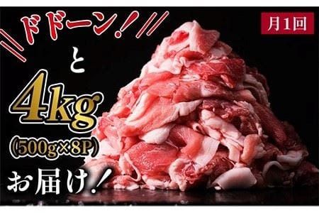 【 全12回 定期便 】 糸島 豚 切り落とし 4kg ( 500g × 8P ) 糸島 【幸栄物産】[ABH019]