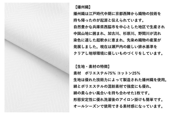 洋服の青山シャツ×播州織（メンズ・フォーマルスタイリッシュ・1着）(2)TTPVS-67パーソンズシャツ　15-13-(2)