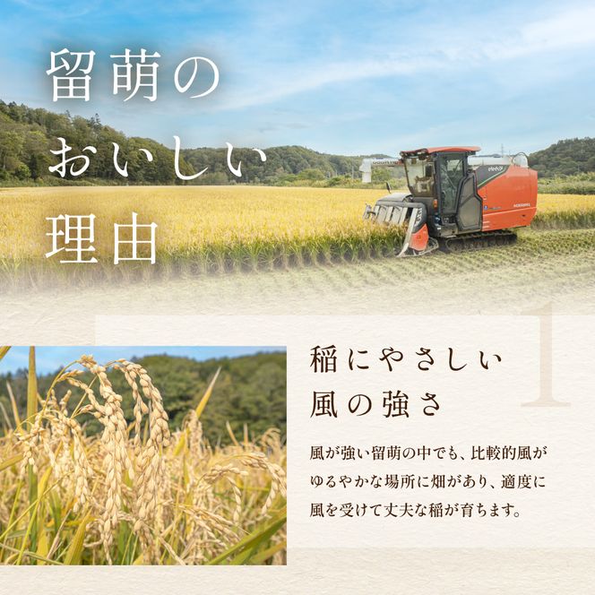 米【先行予約】令和8年産【12ヶ月定期便】ゆめぴりか 北海道南るもい産 (無洗米)5kg R011-073-R8