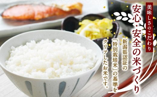 【新米受付・令和8年産米】新潟県村上市岩船産　特別栽培米コシヒカリ30kg（5kg×6ヶ月コース）1013012N　定期便 毎月 新米予約 お米 白米 こしひかり 精米 村上市