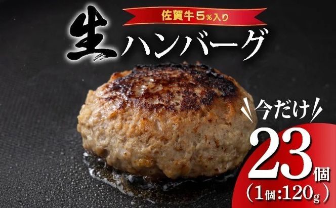 yꌧzsʌtd2.7kg ꋍno[O y120g×23z v2760g