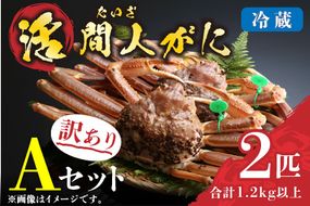 （訳あり）活間人がに 2匹 Aセット　1/22～2/21発送予定　HI00007_04