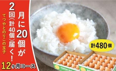 卵定期便[月2回 × 20個 × 12ヶ月コース]てつやとのりこの玉子 全24回定期便 糸島市 / 板垣ファーム 卵 たまご 玉子 鶏卵 卵かけご飯 便利 定期便 定期購入 [AWD014] ランキング 上位 人気 おすすめ
