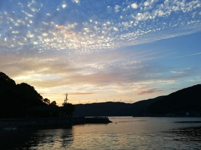 【栽培期間中農薬不使用】【先行受付】【数量限定】農園直送！愛媛県産 いよかん 5kg （2026年1月上旬頃より順次発送） IKTG015