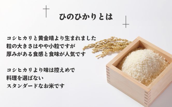 【令和7年産】わがまち育ち 無洗米 ひのひかり 5kg_HA1960