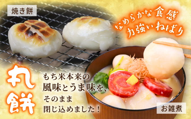 【岡山県真庭市】勝山の力米 丸餅 360g（約11個）×3袋 / 餅 もち 丸もち 個包装 食べ切りサイズ 長期保存 真庭産 ヒメノモチ ひめのもち 【mwgk003-01】