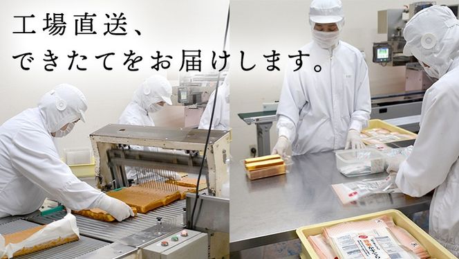 訳あり かすてら 切り落とし 約1.8kg 12袋 カステラ スイーツ お菓子 おやつ 子ども 夏休み アソート 美味しい ふんわり ふわふわ 詰め合わせ 詰合せ ワケアリ 訳アリ ケーキ 工場直送 [AU01-NT]