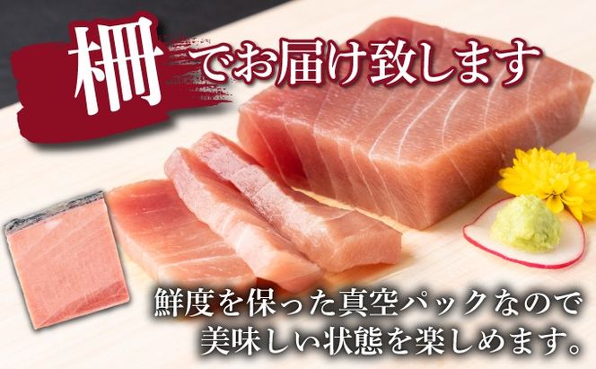 天然本まぐろ 《 中トロ 》  ４００ｇ お刺身用 天然まぐろ 天然マグロ まぐろ 鮪 刺身 お刺身 サク 柵 高知 室戸 冷凍 瞬間冷凍 小分け 便利 mgr