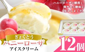 糖度17度の甘さ♪ハニーローザアイスクリーム 120ml 12個 熊本県 玉名郡 玉東町 すもも ハニーローザ アイス ぷらっとぎょくとう《60日以内に出荷予定(土日祝除く)》---gkt_prt_14_12k---