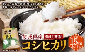 【3ヶ月定期便】令和8年産コシヒカリ 5kg×3回 合計15kg | 米 お米 こめ おこめ 茨城県産 精米 白米 定期便 定期配送 茨城県 守谷市 送料無料