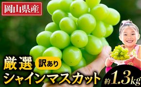 シャインマスカット 【2025年出荷先行予約】 厳選 シャインマスカット 約1. 3kg フルーツ 果物  岡山県産 秋旬 2房 シャイン マスカット 大粒から小粒まで不揃い 《2025年9月上旬-11月中旬頃に出荷予定(土日祝除く)》 ---ofn_cwsmx_ae911_25_13000_2---