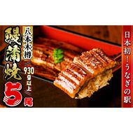 【数量限定】特大! 国産 八本木樽鰻の蒲焼(186g以上×5尾) c0-104