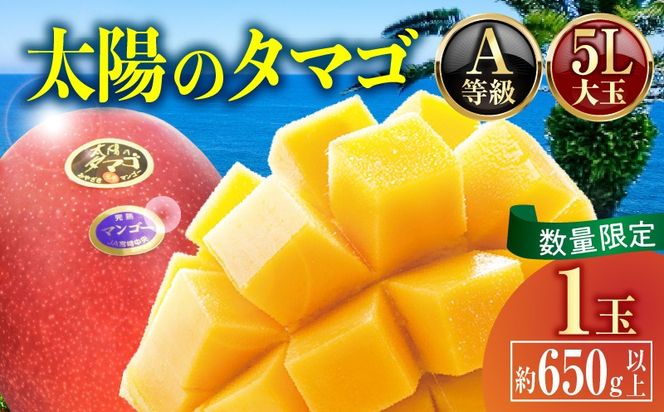 【2027年発送】【数量限定】宮崎県産 太陽のタマゴ A等級 5Lサイズ×1玉（約650g以上）_kn056-015