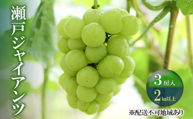 ぶどう 【2026年 先行予約】 瀬戸ジャイアンツ 3房(合計2kg以上) ブドウ 葡萄 岡山県産 国産 フルーツ 果物 ギフト 河本農園