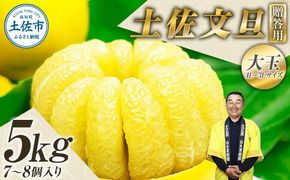【先行予約】【果樹園直送】土佐文旦 特選品贈答用 約5kg 3L～4Lサイズ 7～8個入り 〈2027年2月中旬～3月下旬頃発送〉大玉 ぶんたん ブンタン フルーツ 柑橘 みかん 果物 くだもの 柑橘類 デザート 【白木果樹園】 [BQAI001]