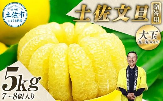【先行予約】【果樹園直送】土佐文旦 特選品贈答用 約5kg 3L～4Lサイズ 7～8個入り 〈2027年2月中旬～3月下旬頃発送〉大玉 ぶんたん ブンタン フルーツ 柑橘 みかん 果物 くだもの 柑橘類 デザート 【白木果樹園】 [BQAI001]