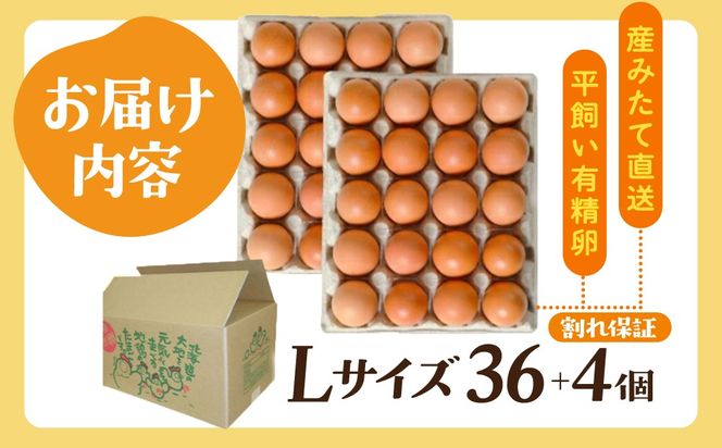 北海道 たまごの心 40個 Lサイズ 太陽の園 平飼たまご 有精卵 たまご 卵 生たまご 鶏卵 北海道産 鶏の卵 ポリスブラウン 食材 卵かけごはん TKG オムレツ オムライス タンパク質 ゆで卵 よく使う食材 万能食材 【農福連携】