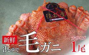 12006】イトウ Tシャツ（白・XLサイズ）（北海道猿払村