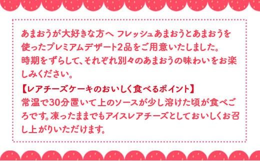 いちご あまおう 大粒あまおう 定期便 DXあまおう ジェラート 2種 レアチーズケーキ 6p 詰め合わせ 【2027年発送】 期間限定発送 [THE FARM_strawberry 福岡県 宇美町 um40azo780010] 先行予約 あまおう 大粒 イチゴ 苺 フルーツ 果物 果実 甘い あまい 小分け 冷凍 アイス ケーキ チーズケーキ 定期
