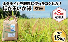 ほたるいか米（玄米５kg）×3回 計15kg【3ヶ月定期便】
