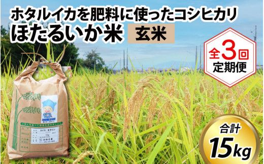 ほたるいか米（玄米５kg）×3回 計15kg【3ヶ月定期便】