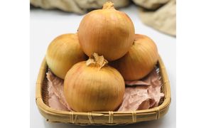 北海道十勝幕別産 玉ねぎ 約10kg 野菜 たまねぎ タマネギ 