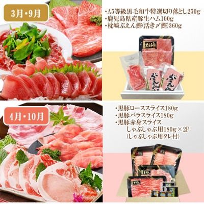 定期便(6回)A5等級黒毛和牛・黒豚・かつお・まぐろ FF-0058 【1166770】