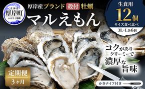 【 3ヵ月 定期便 】 厚岸産 ブランド 殻付カキ マルえもん 生食用 サイズ食べ比べ 12個 (3L・L各6個)[ 魚貝類 生牡蠣 かき 牡蠣 カキ 生ガキ 食べ比べ ]
