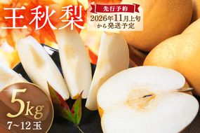 【先行予約／数量限定200】農家直送 秋の王様 「王秋」5kg（概ね7玉～12玉）（2026年11月上旬～発送）　DE00169