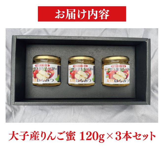 【2026年10月～2027年4月発送】天然はちみつ【大子のりんご蜜 120g×3本セット】|茨城県 大子町 奥久慈 ハチミツ 蜂蜜 プレゼント 包装(BG003)