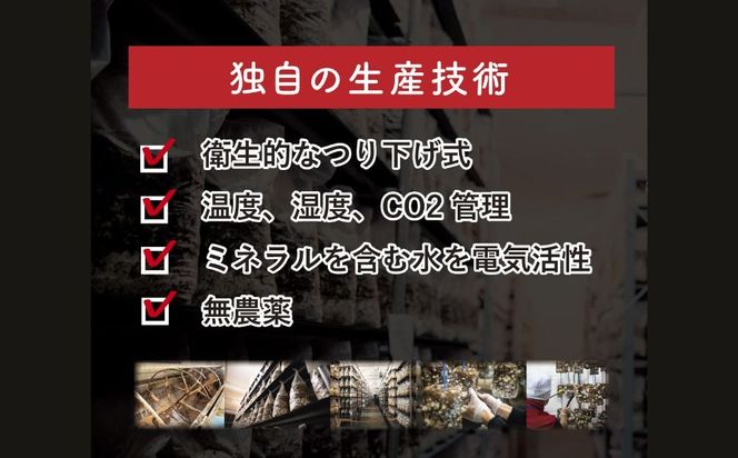松太郎と松太郎ジャーキー詰め合わせ-[G147]