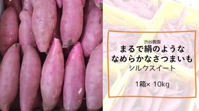 【2025年11月より順次発送】2025年度産 まるで絹のようななめらかなさつまいも シルクスイート 約10kg｜さつまいも 芋 お芋 シルクスイート 渋谷農園 先行予約 茨城県 行方市(BZ-20)