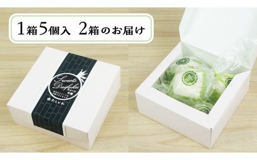 【 菓子庵たちかわ 】 抹茶 モンブラン 大福 10個 ( 5個入 × 2箱 ) 手作り もちもち スイーツ お茶 茶 栗 くり もち フルーツ 果物 和菓子 菓子 お菓子 餡子 あんこ [AY014ci]