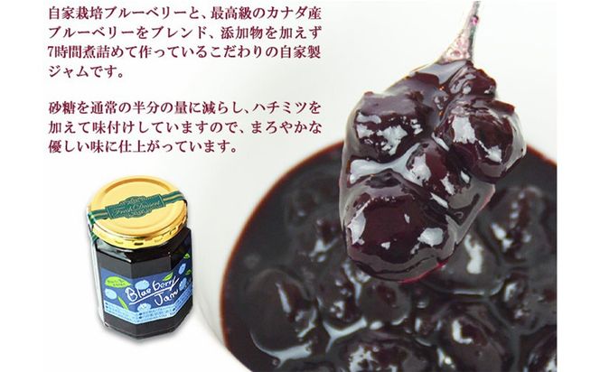 ＜自家製アイスクリームとブルーベリージャムのセット＞2か月以内に順次出荷【c593_sn_x3】 アイス ジャム セット ブルーベリー