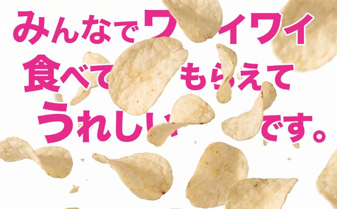 【最短3営業日！スピード発送】 カルビー ポテトチップス BIGBAG 157g のりしお 1ケース ( 12袋 ) ポテチ お菓子 おかし 大量 スナック おつまみ ジャガイモ じゃがいも まとめ買い 数量限定