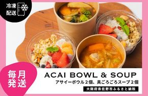 G3138 【定期便】アサイーボウル 2個＆具ごろごろスープ 2個 全12回【毎月配送コース】