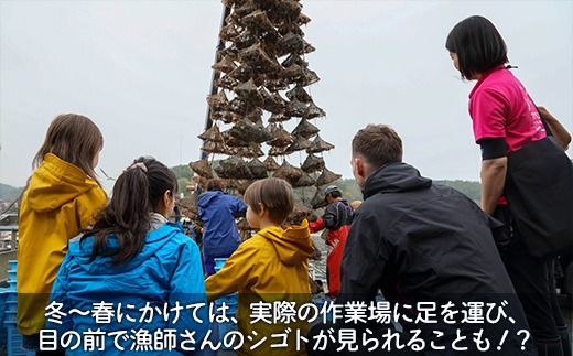 あなたの知らないホタテの世界（4人用） ふるさと納税 人気 おすすめ ランキング 体験 イベント ホタテ 見学 養殖 漁師 4人 北海道 豊浦町 送料無料 TYUL016