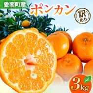 【 2026年 先行予約 】 訳あり ポンカン 3kg サイズミックス 送料無料 7000円 柑橘 みかん 蜜柑 家庭用 フルーツ 果物 規格外 不揃い キズ わけあり 甘い 濃厚 ジューシー お取り寄せ グルメ 冬の味覚 ジュース スムージー ジャム お菓子 作り マーマレード スイーツ 作り 旬の果物 農家直送 ビタミンC 予約受付 サイズ不揃い 愛媛県 愛南町 清家ばんかんビレッジ