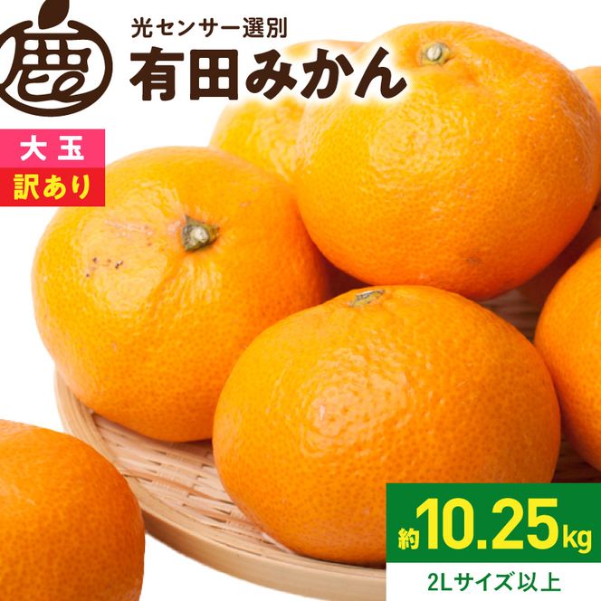 《2026年11月上旬～2027年1月下旬頃順次発送》【2026年先行予約】家庭用 大きな有田みかん約10kg+250g（傷み補償分）【わけあり・訳あり】【光センサー選果】_ZH7120