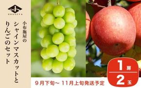 シャインマスカット1房とりんご2玉 詰め合わせ ［小布施屋］果物 詰合せ セット フルーツ ぶどう 林檎 シャインマスカット 数量限定 期間限定 先行予約 冷蔵便 クール便 長野県産 信州産 送料無料 令和7年産 【2025年9月下旬頃～11月上旬頃まで順次発送】 ［A-307］