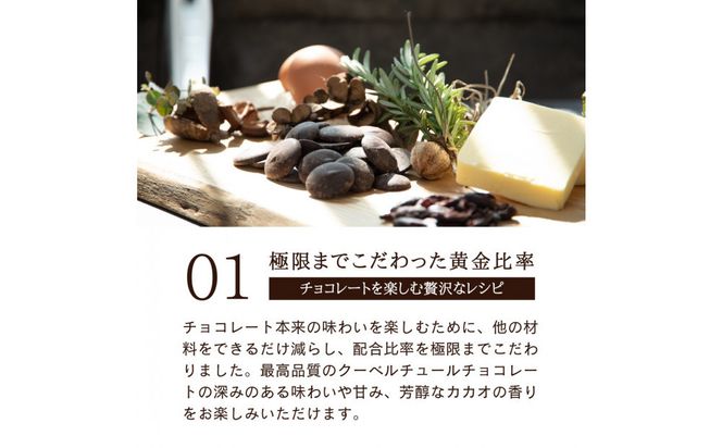 【バレンタイン特別梱包！2月発送】幸せの生ガトーショコラ 450g【チョコレート 特濃厚 濃密な味わい 極上の口溶け 極上のチョコレート 一流の料理人 チョコレート本来の味わいと甘み カカオの風味やコク カカオ 至極の逸品 神奈川県 小田原市 】 142069_DW001-GFT