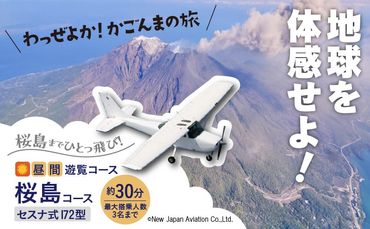 【昼間遊覧飛行】桜島コース セスナ式172型（大人3名まで）　K222-FT001