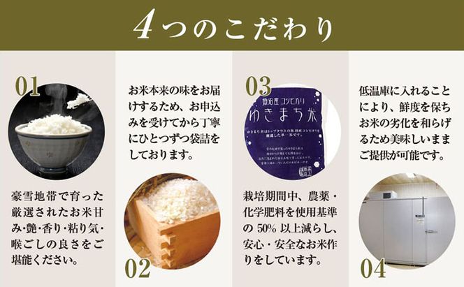 【定期便/6ヶ月】無洗米 ゆきまち米1kg 極上魚沼産コシヒカリ 米 こしひかり 無洗米 白米 ご飯 定期便 定期