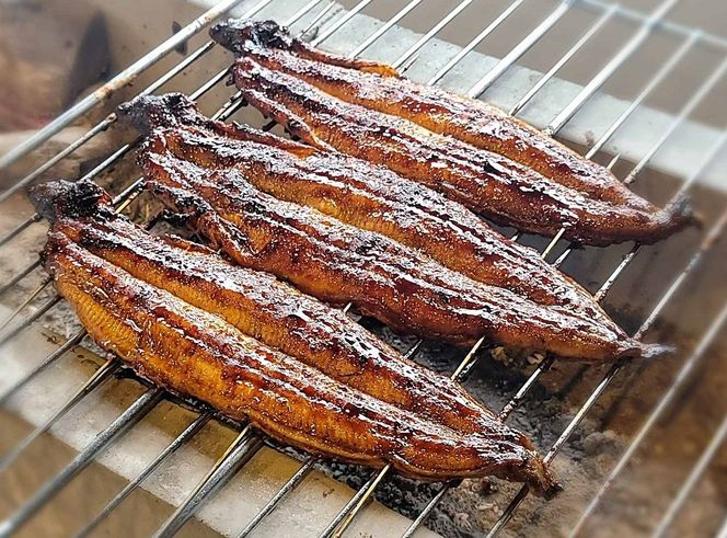 【備長炭で焼く“いい焦がし”】三河一色産うなぎの蒲焼8尾 鰻 ウナギ たれ タレ 国産 備長炭 土用 丑の日 冷凍 三河一色産 H189-033