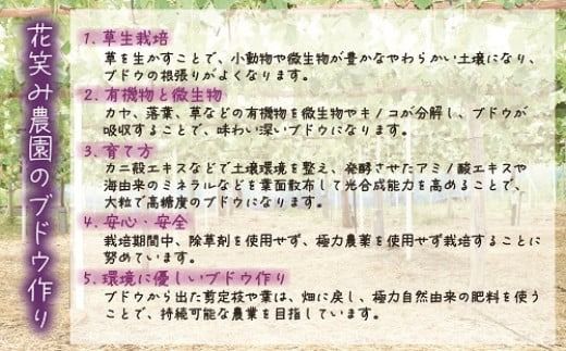 【2026年先行予約】花笑み農園　岡山『ぶどうの宝石箱』３種以上（18粒入り） 【hana050-02】